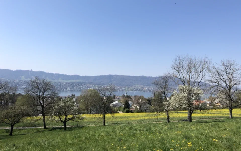 Blick über Zollikon