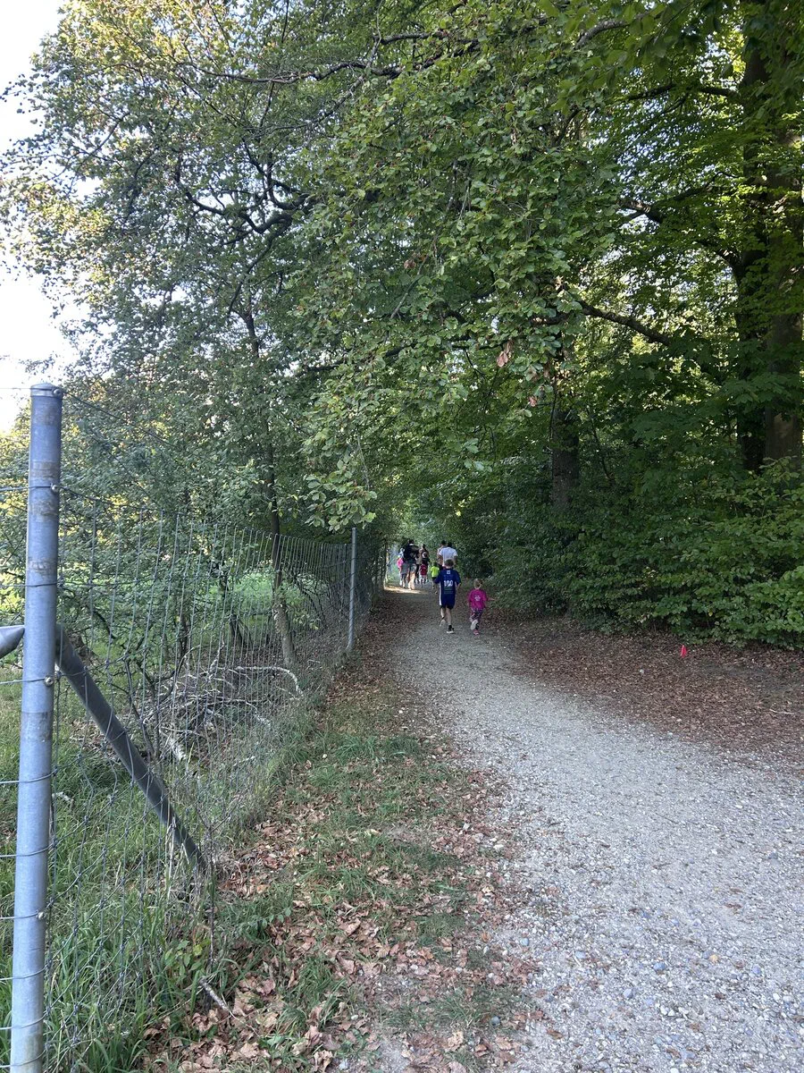 Kinder laufen auf dem Kiesweg am Waldrand